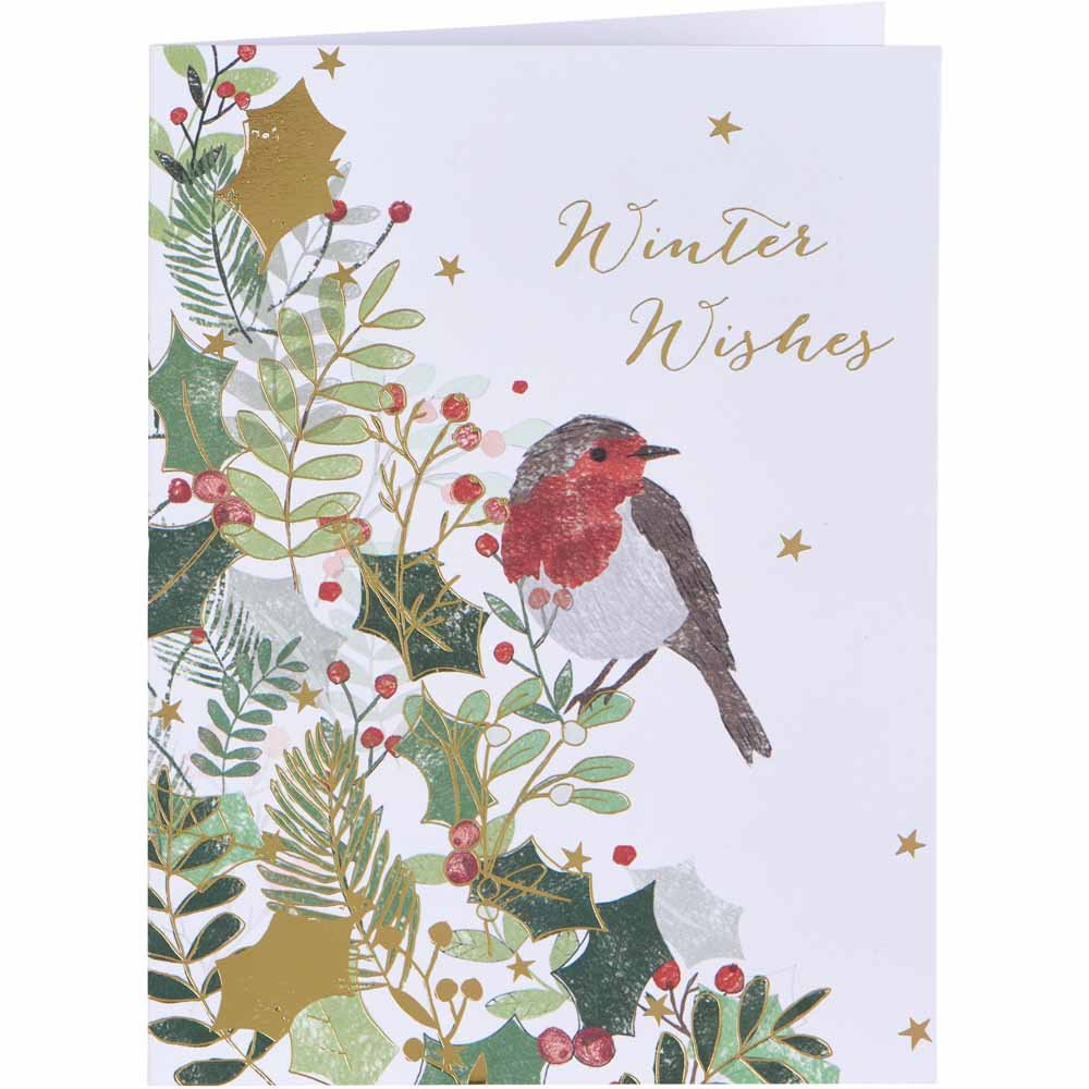 Wilko Robin Duo Christmas Cards 16 Pack Image 2