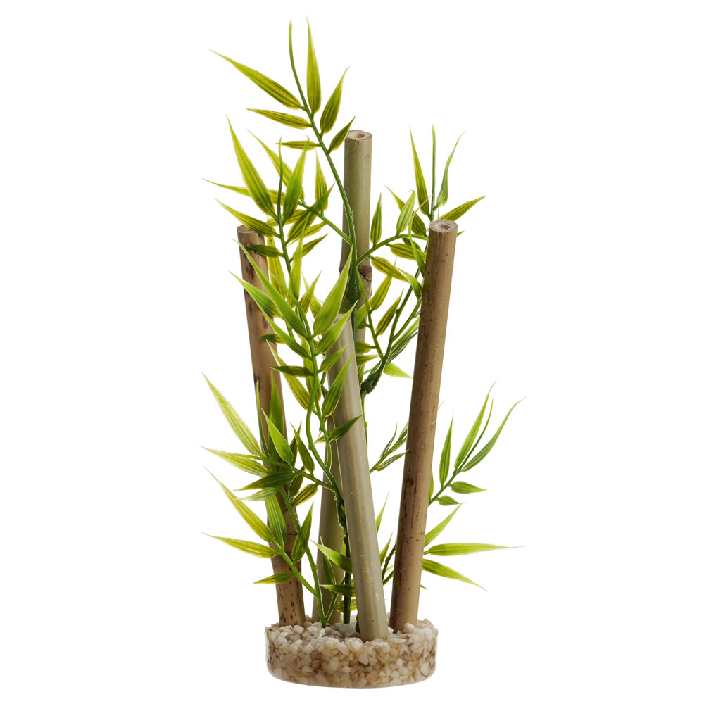 Single Wilko Aqua Decor Bamboo Plants in Assorted styles Image