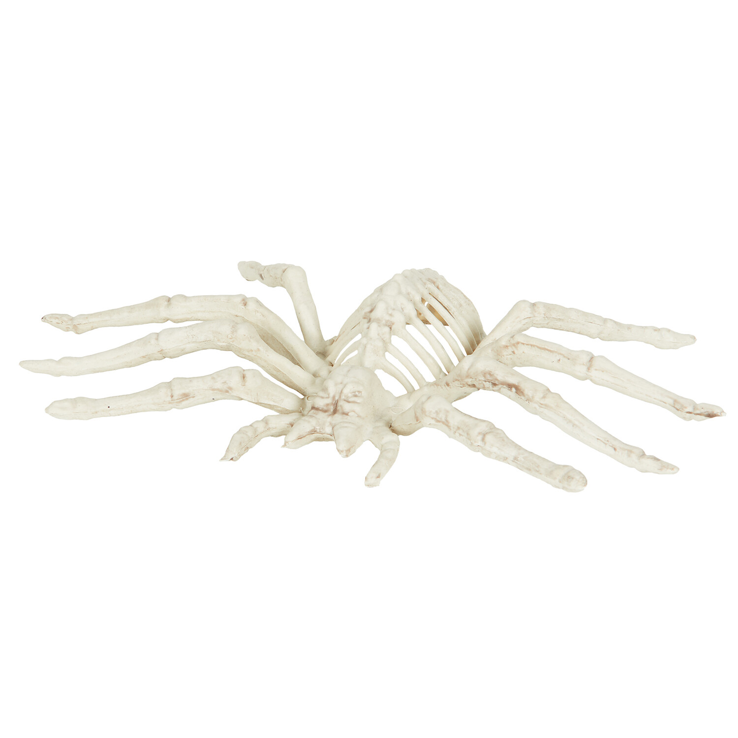 Skeleton Spider White Image 1