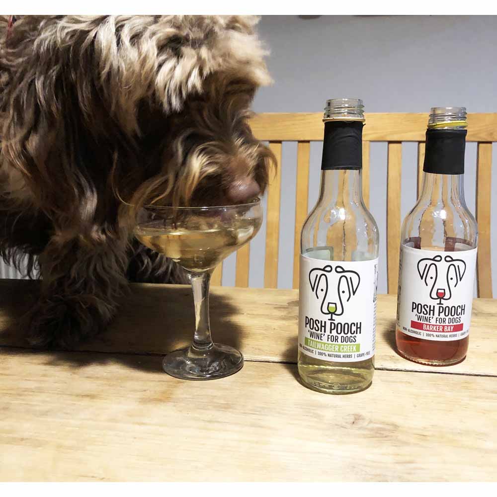 Woof & Brew Posh Pooch Dog Wine 2 x 250ml Image 9