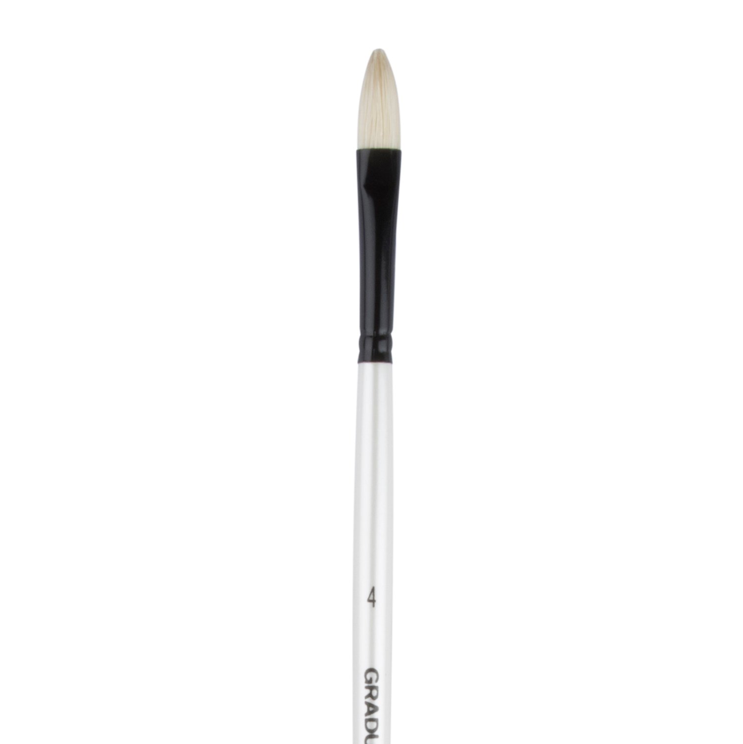 Daler-Rowney Graduate Bristle Filbert - 4 Long Handle Image 1