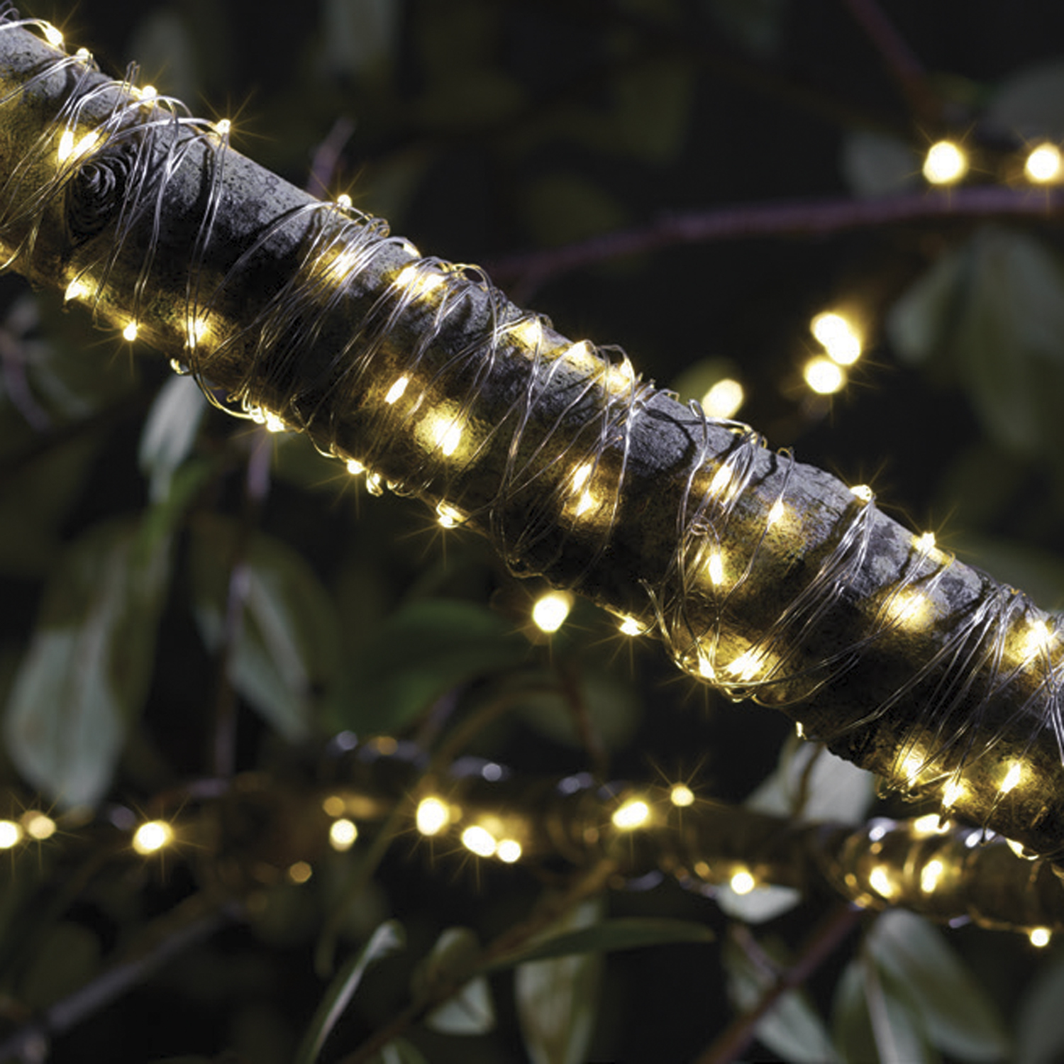 Warm White 200 Micro LED Solar String Lights Image 1