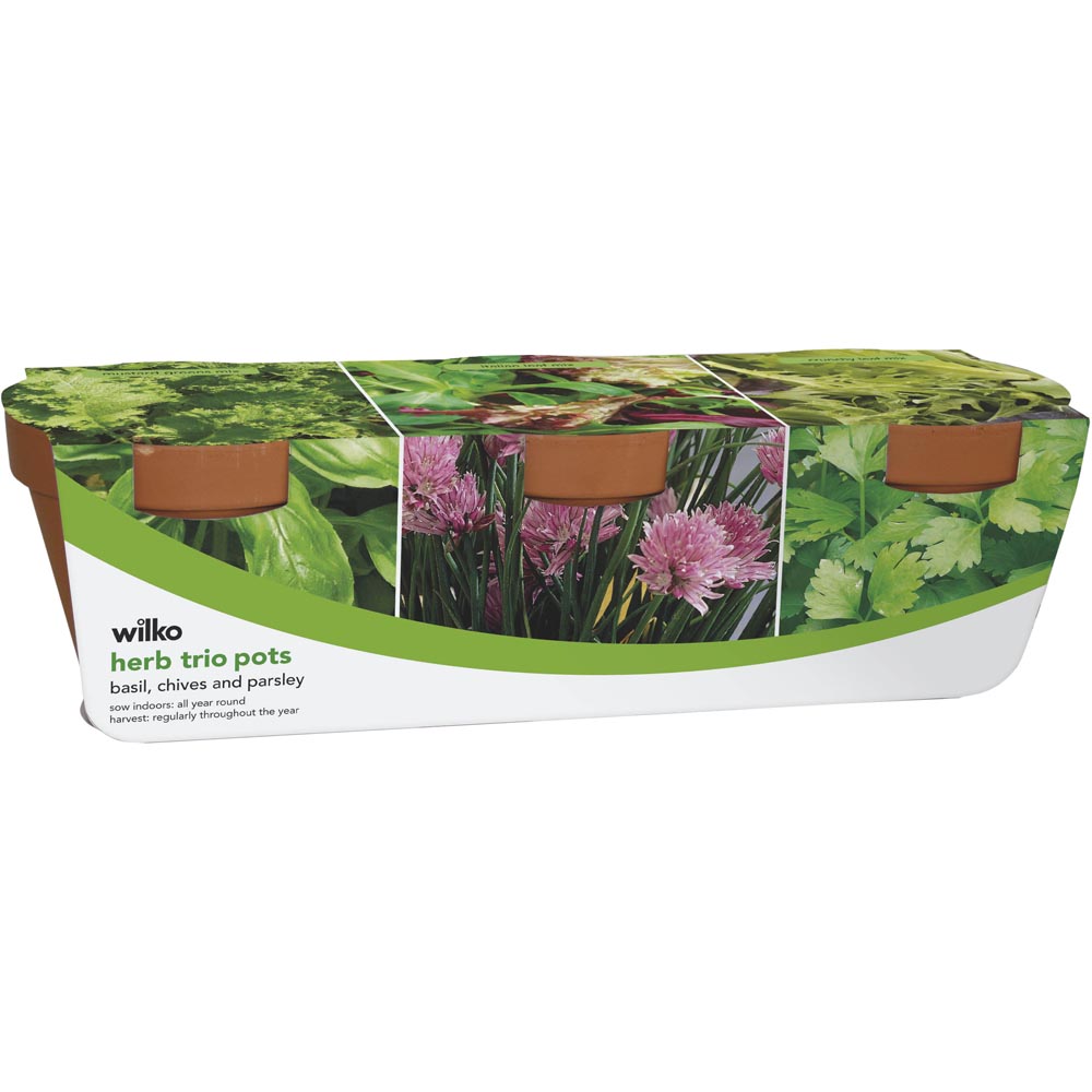 Wilko Terracotta Trio Pots - Herb Image