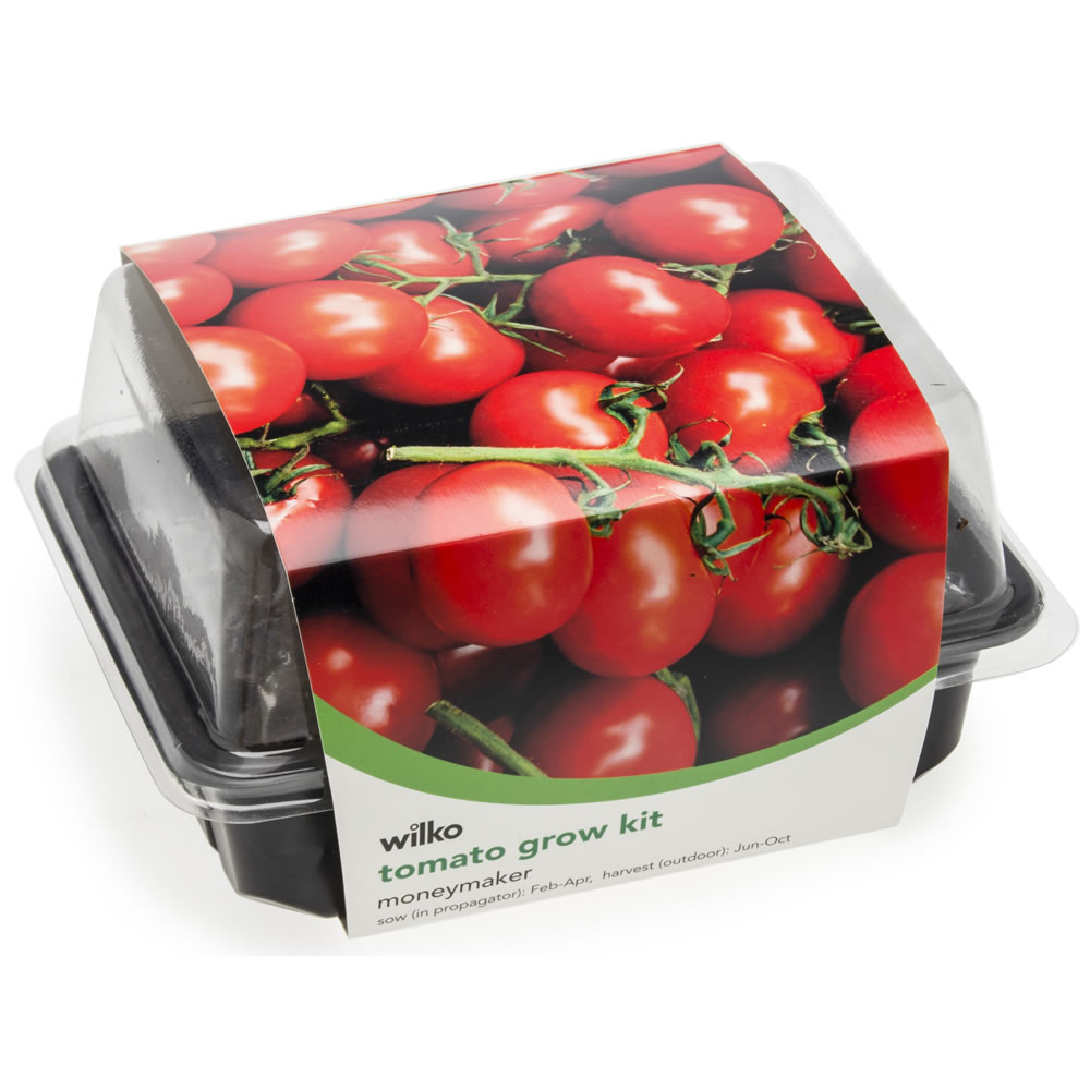 Wilko Tomato Moneymaker Grow Kit Image 1