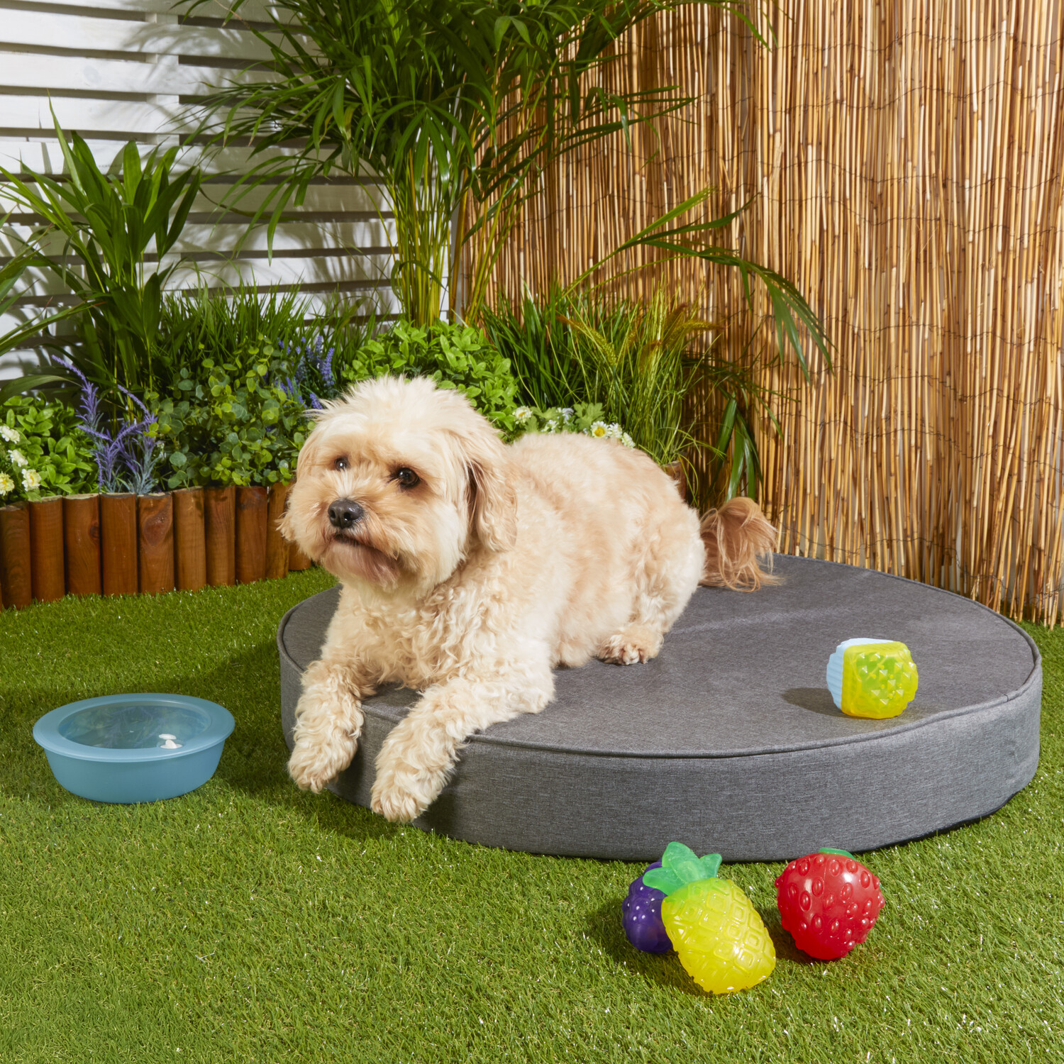Solid Foam Circular Pet Pad Grey Image 2