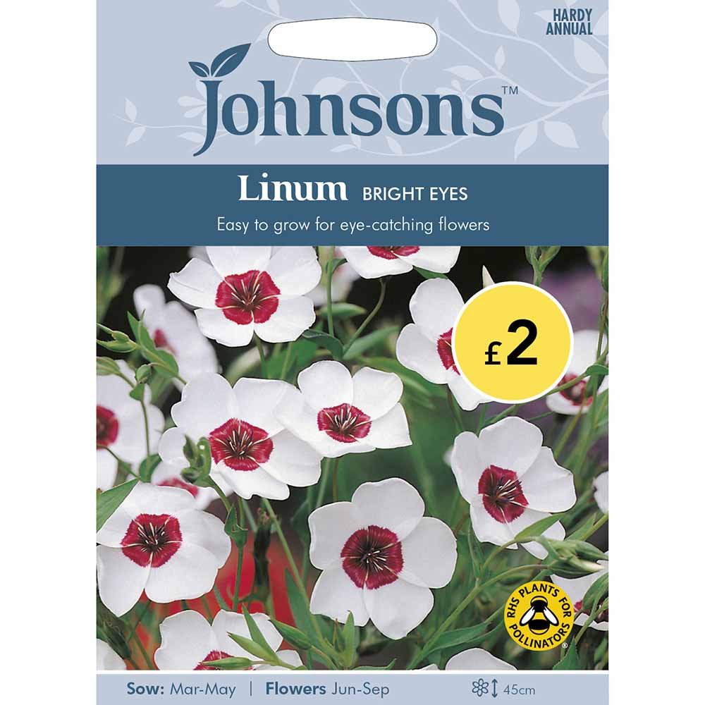 Johnsons Seeds Linum Bright Eyes Image 2