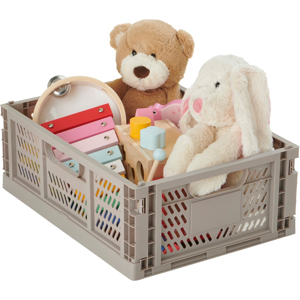 Wilko Large Mushroom Folding Crate Wilko