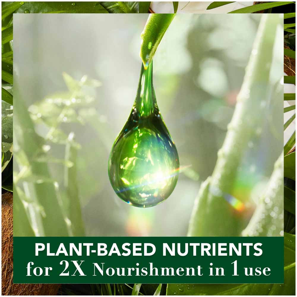 Herbal Essences Biorenew Coconut Milk Hydrating Vegan Hair Conditioner 275ml Image 4