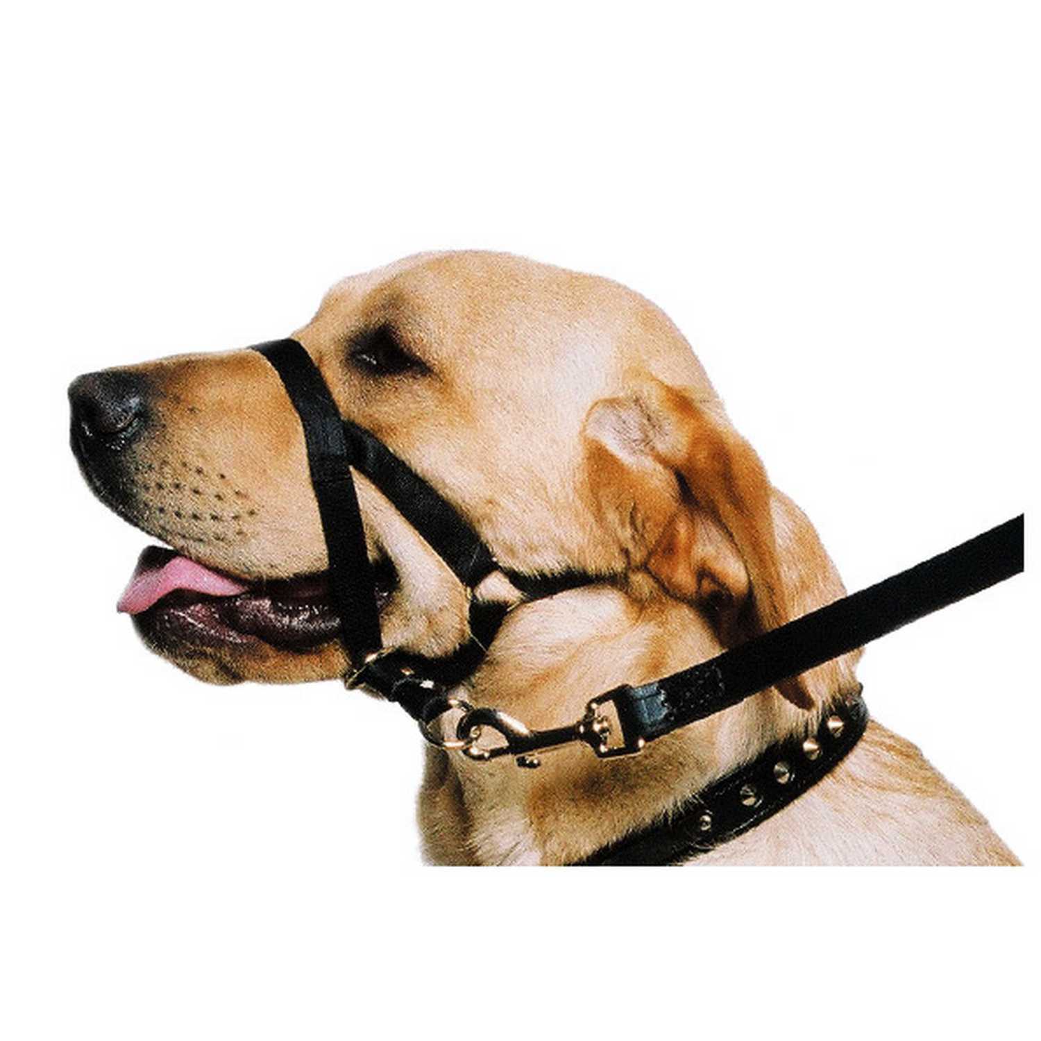 Ancol Dog Training Halter - 45 - 60 cm Image 2
