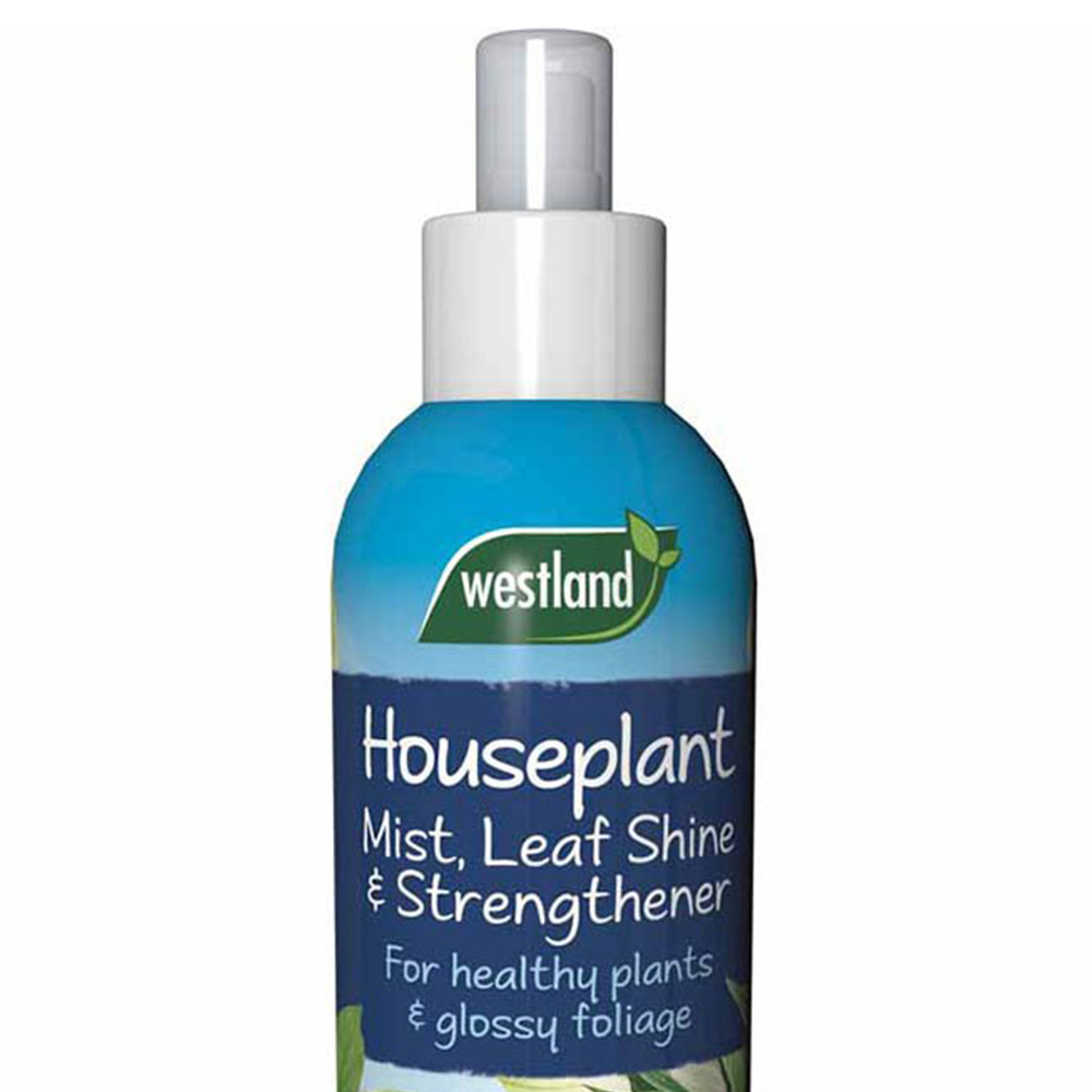 Westland House Plant Mist & Leaf Shine 250ml Image 2