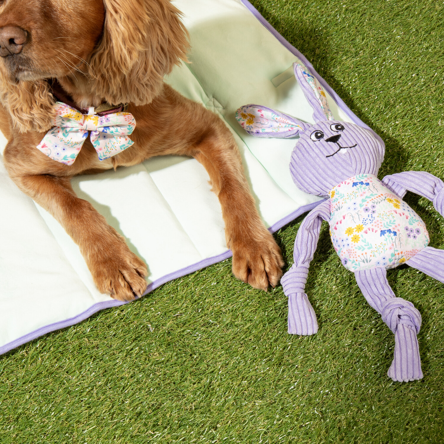 Wildflower Pet Travel Bed Purple Image 3