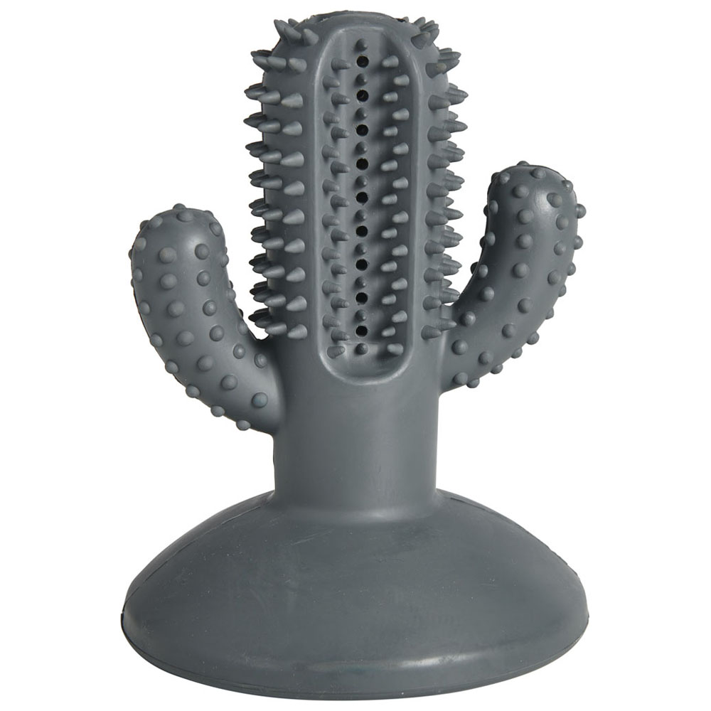 Single Wilko Spikey Cactus Dog Toy in Assorted styles Image 3