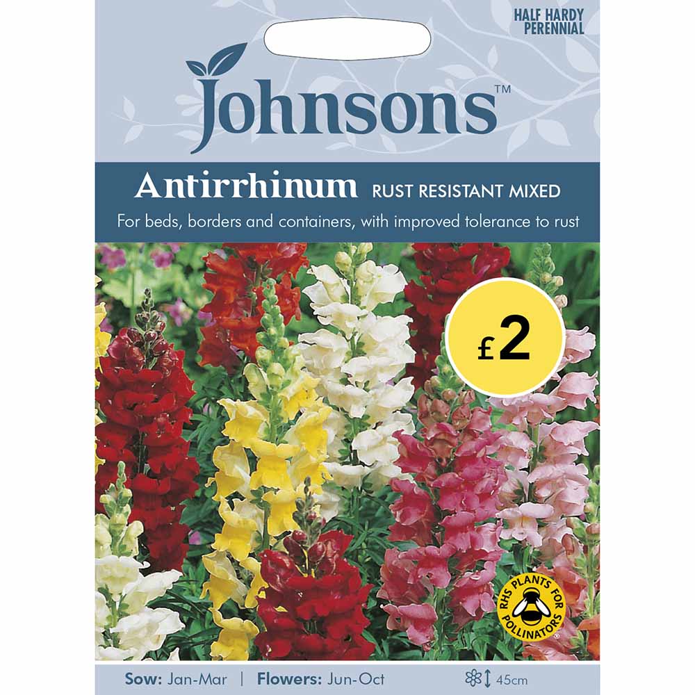 Johnsons Seeds Antirrhinum Rust Resistant Mixed Image 2