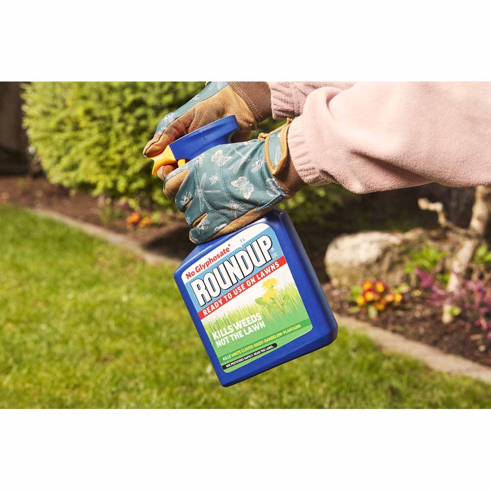 Roundup For Lawns Weedkiller 1L Image 3