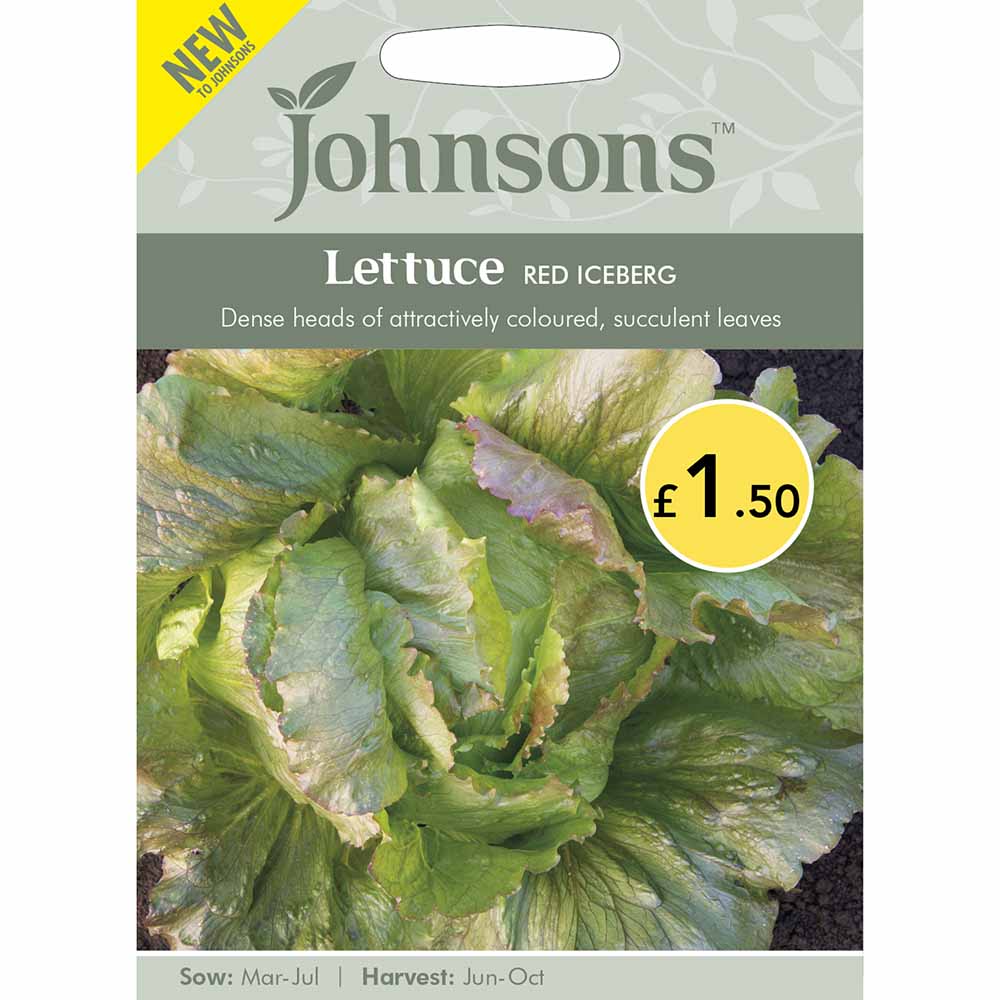 Johnsons Seeds Lettuce Red Iceberg Image 1