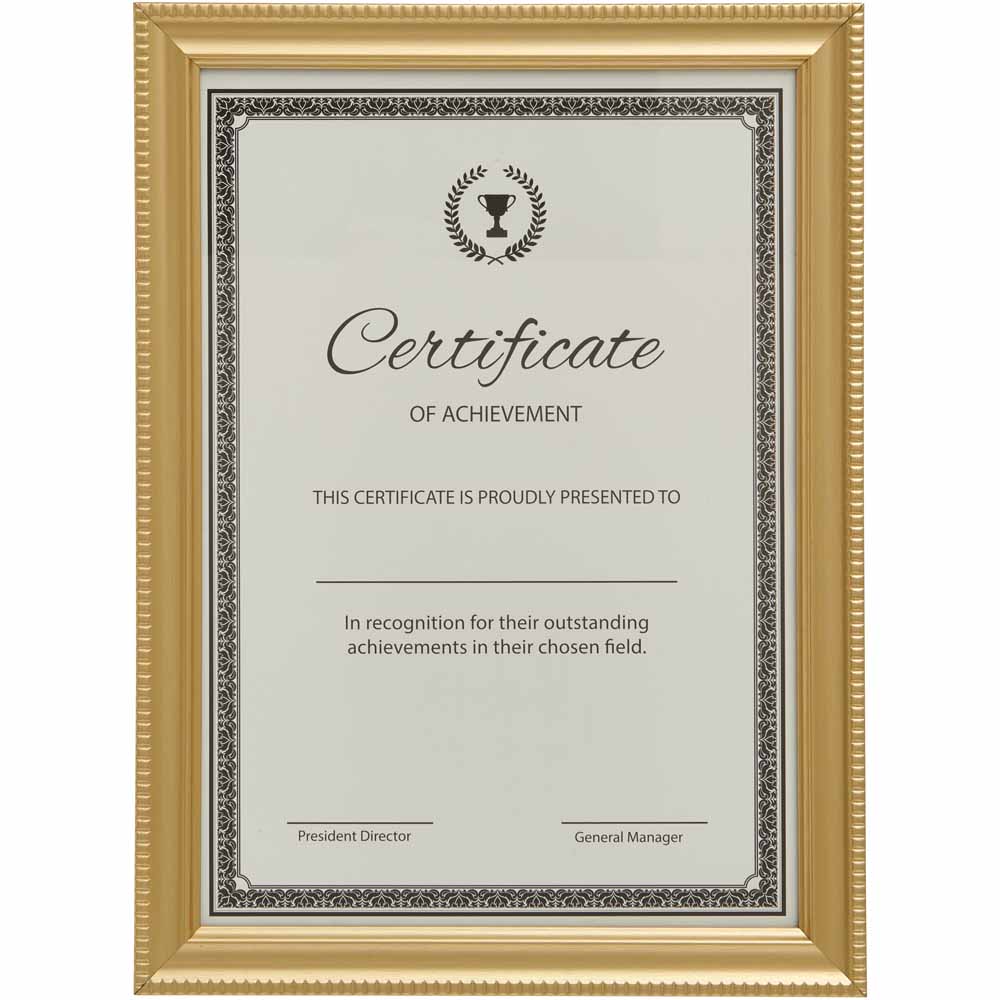 Wilko Gold Certificate Frame A4 Image 1