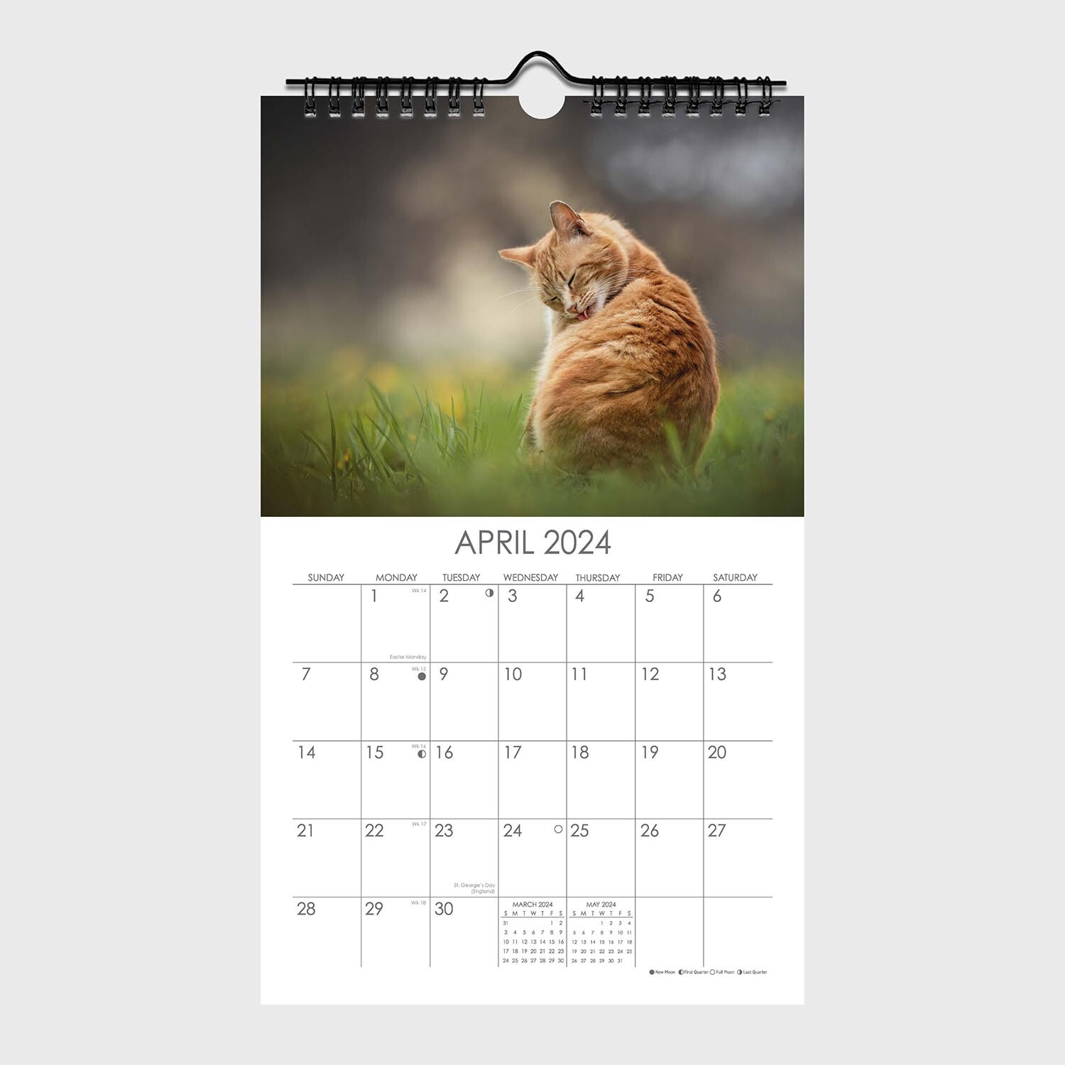 Cats and Dogs Midi Spiral Calendar Image 2