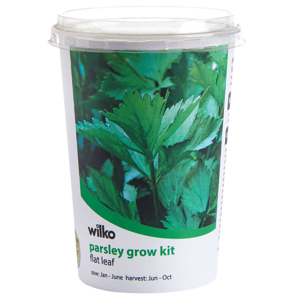 Wilko Parsley Herb Pot Image