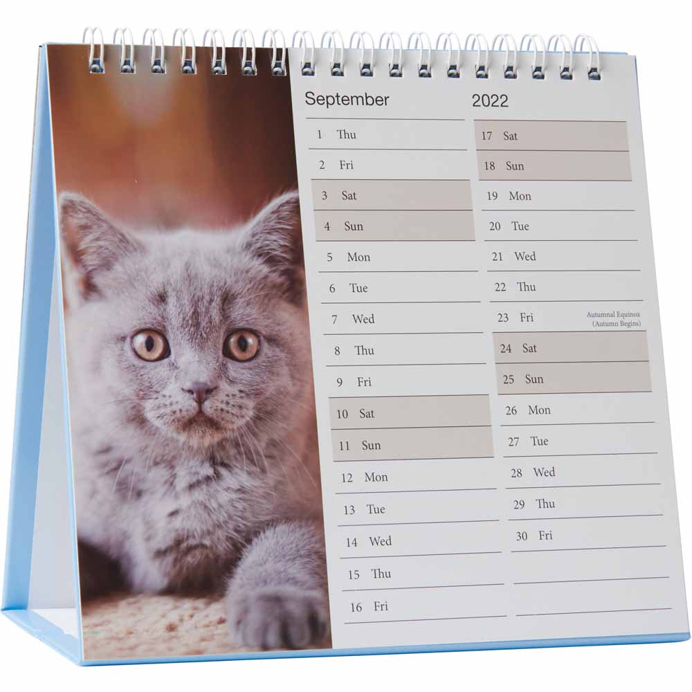Wilko Month to View Desktop Calendar Image 7
