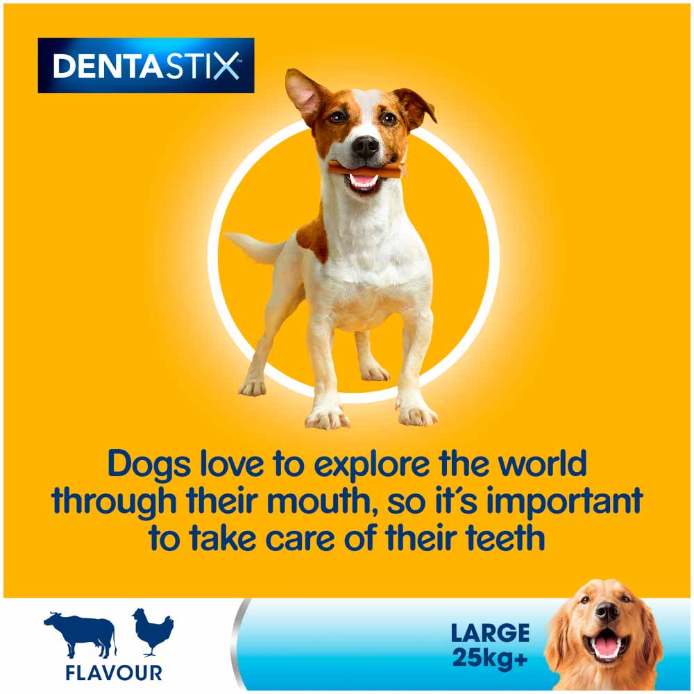 Pedigree Dentastix Daily Adult Large Dog Treats 42 Pack 1.62kg Image 5