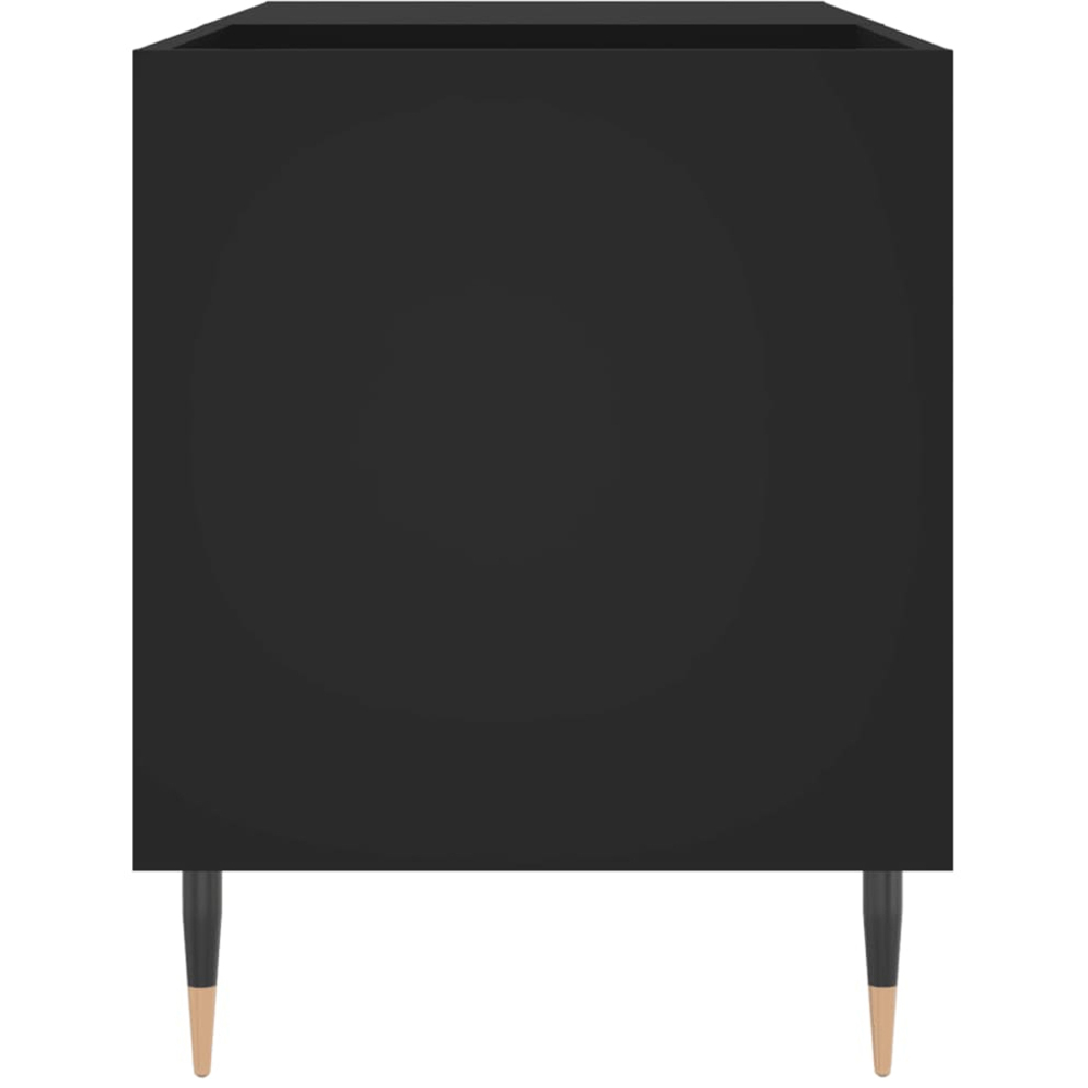vidaXL 2 Shelf Black Record Cabinet Image 5