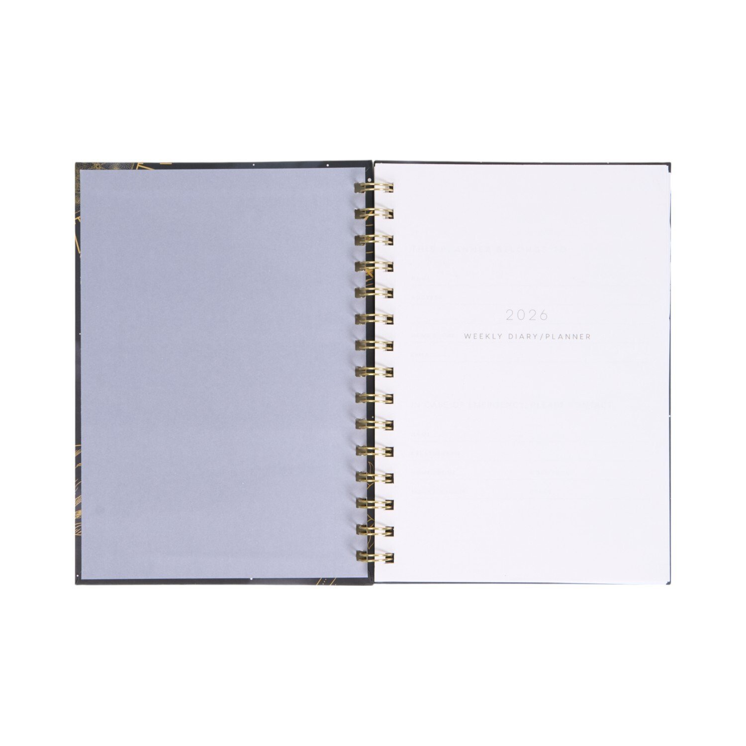 2026 Foiled Astrological Spiral Diary Image 4