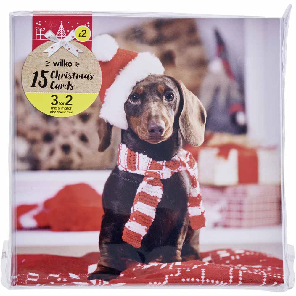 Festive Dog Photographic Christmas cards 15 pack Image