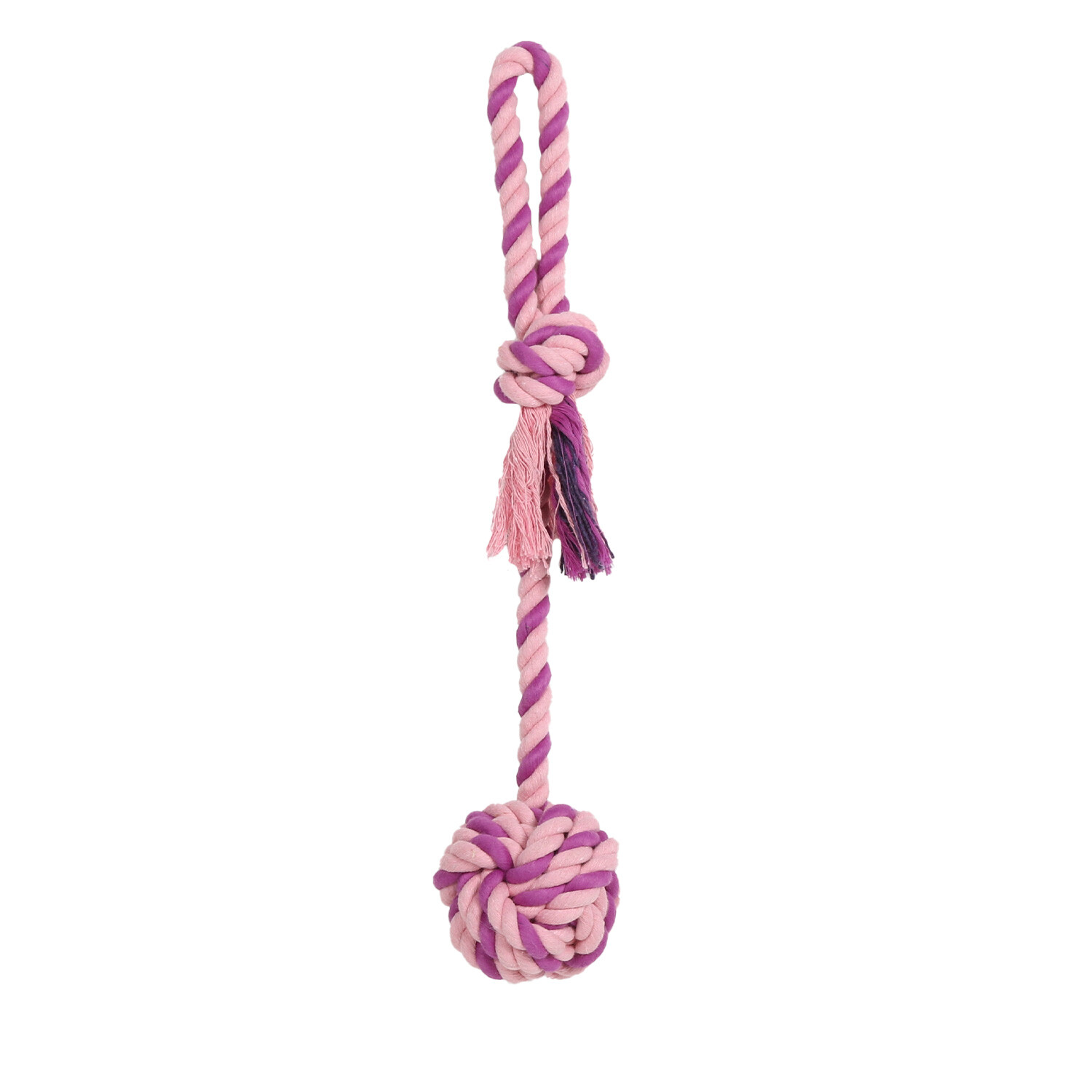 Single Clever Paws Knotted Ball on a Rope Dog Toy in Assorted styles Image 6