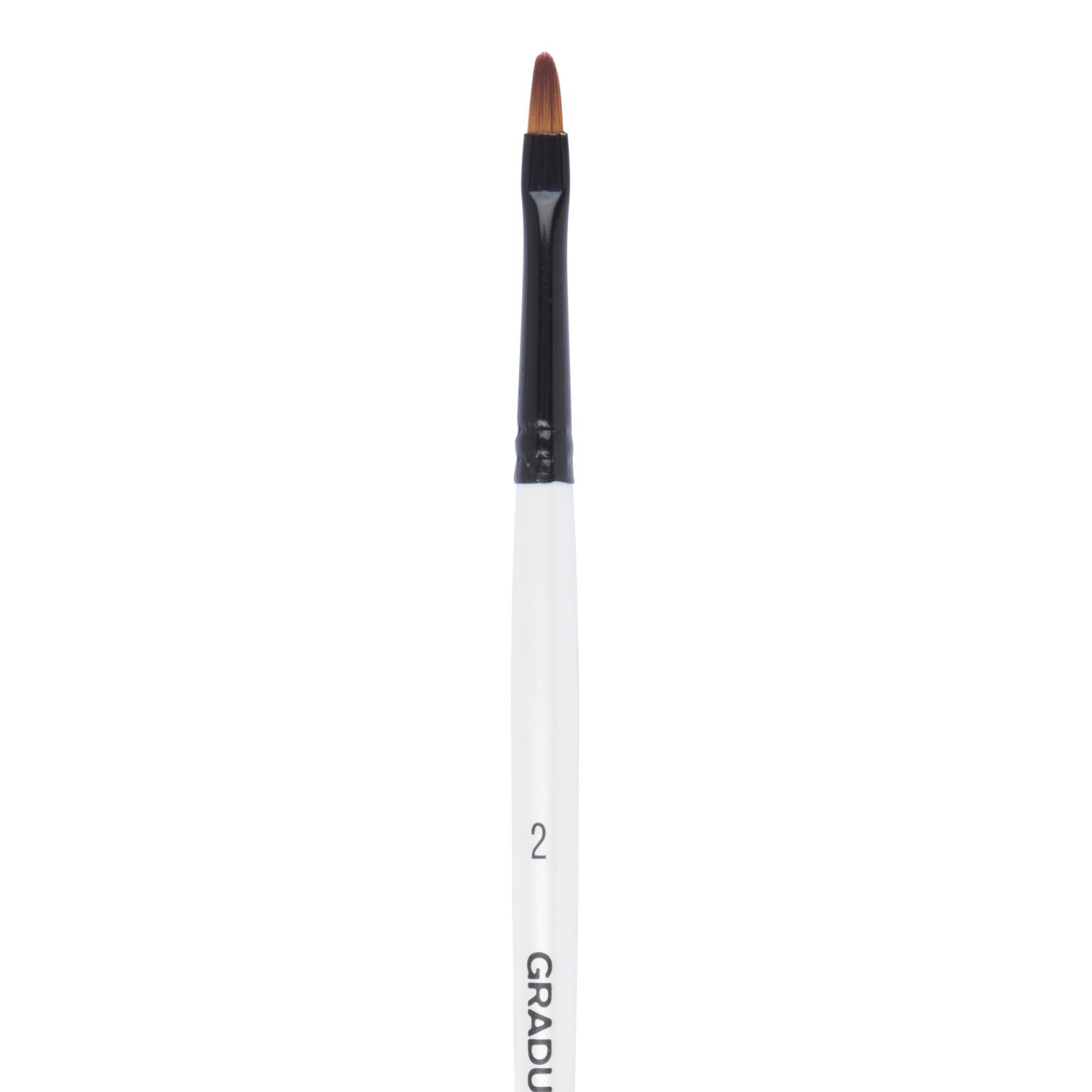 Daler-Rowney Graduate Synthetic Filbert Short Handle Brush - 2 Image 1