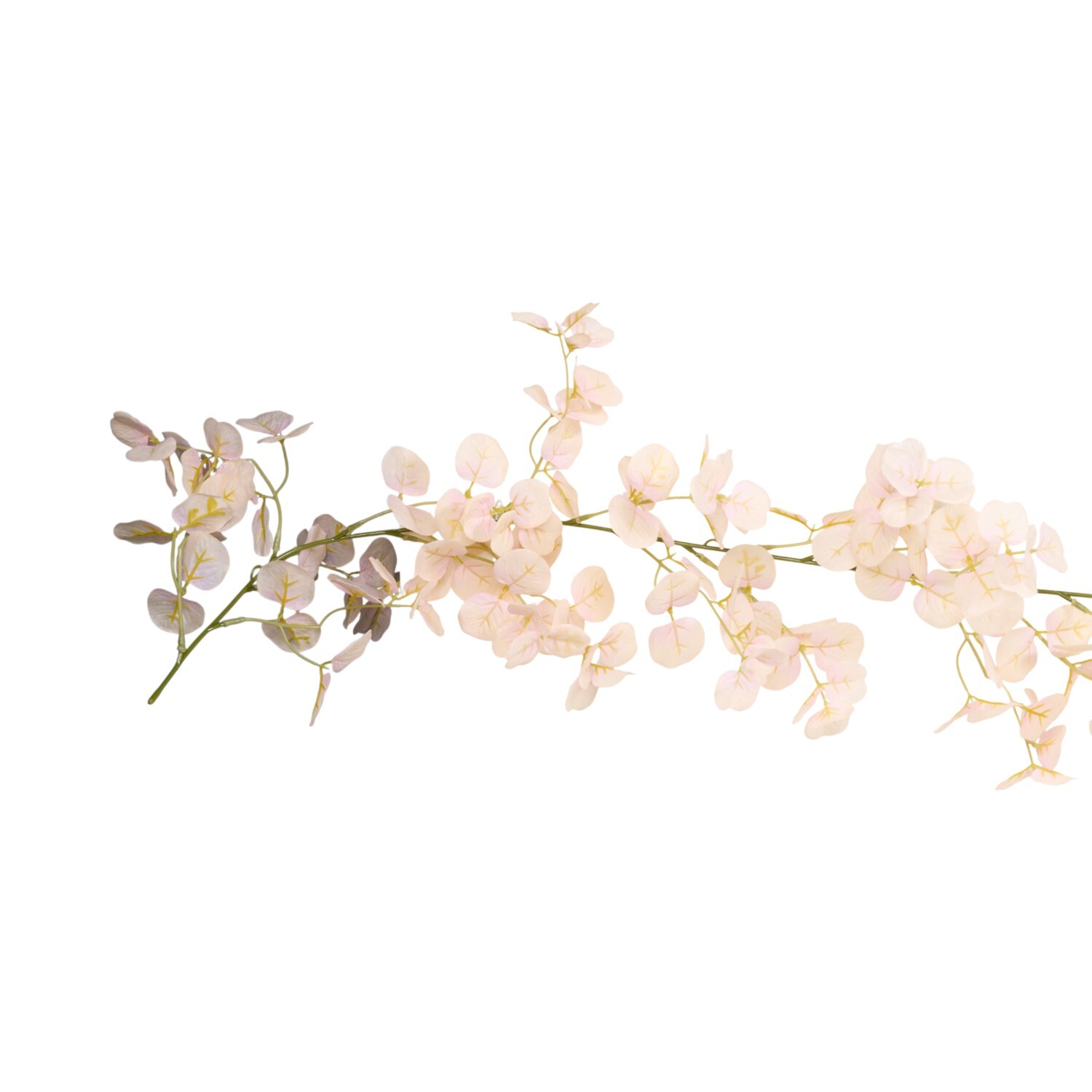 Champagne Eucalyptus Garland Image 2