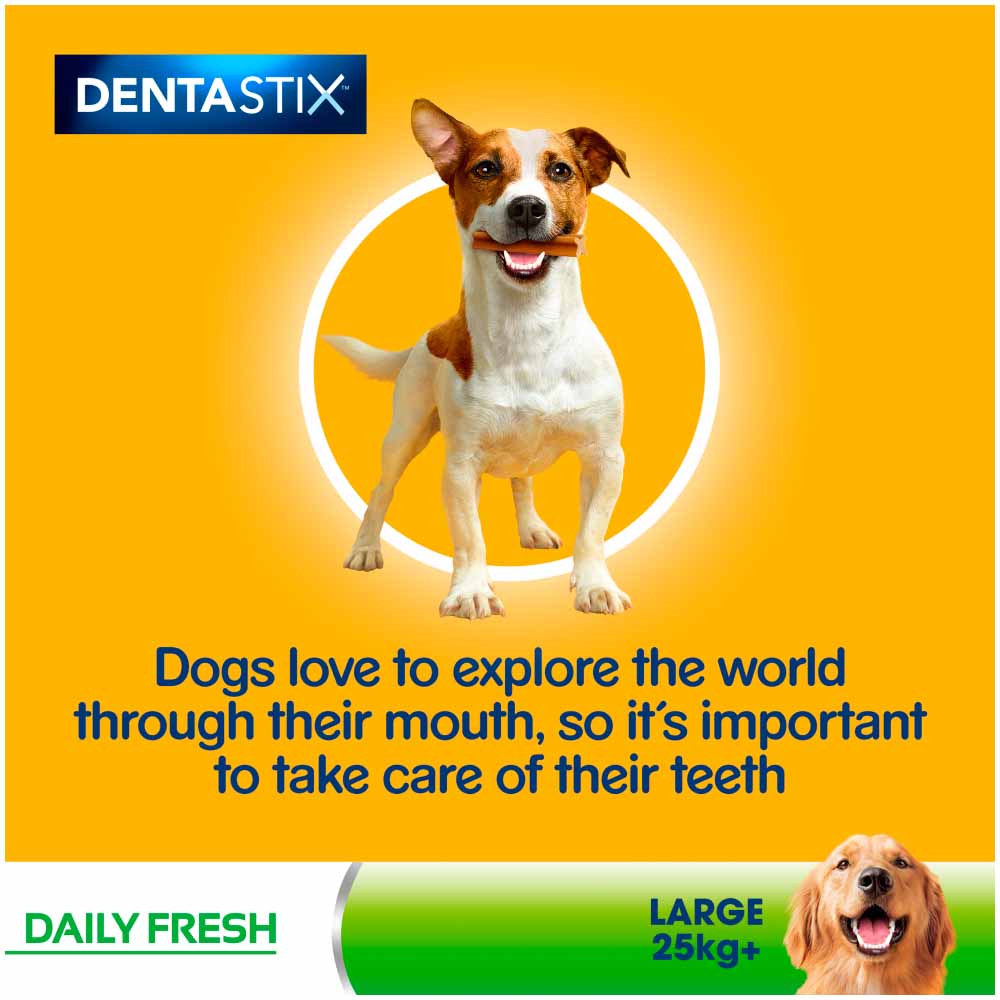 Pedigree 21 Pack Dentastix Fresh Adult Large Dog Treats 810g Image 5