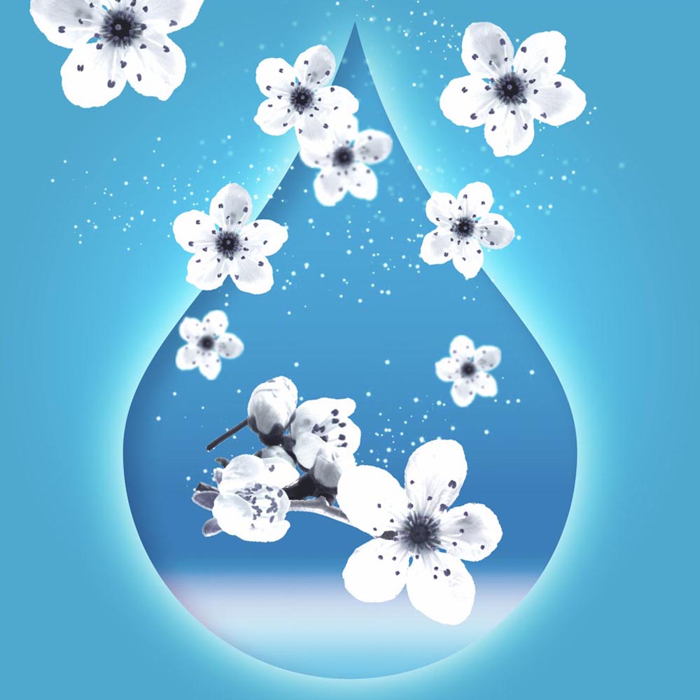 Flash Apple Blossom Antibacterial Liquid Cleaner 1L Image 2