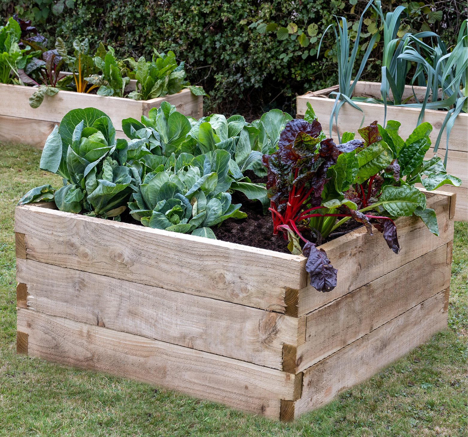 raised beds