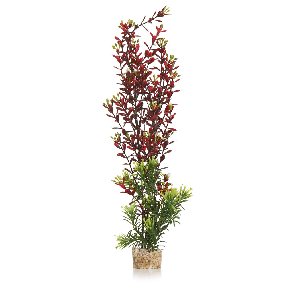Wilko Large Aquarium Plant in Assorted Colours and Designs Wilko