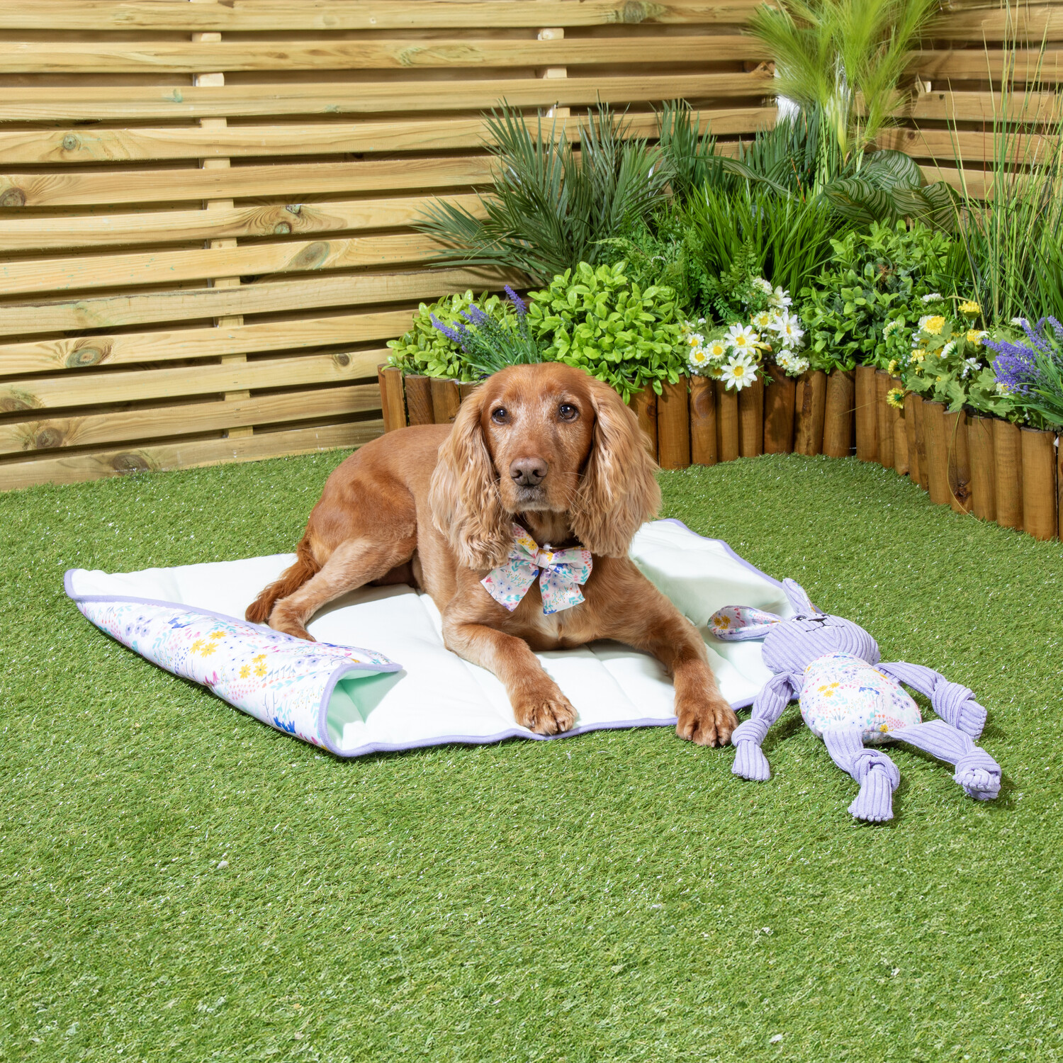 Wildflower Pet Travel Bed Purple Image 4