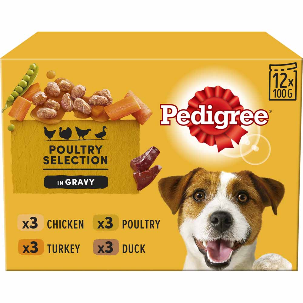 Pedigree Poultry Selection in Gravy and Jelly Adult Wet Dog Food Pouches 12 x 100g Image 1
