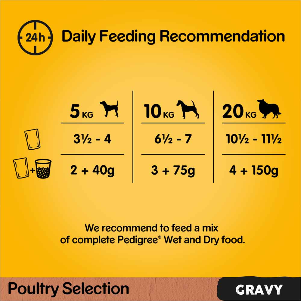Pedigree Poultry Selection in Gravy and Jelly Adult Wet Dog Food Pouches 12 x 100g Image 5