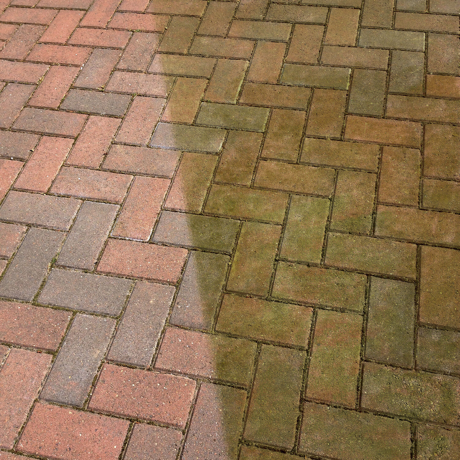 Spray and Leave Algae Mould Killer Concentrate Image 2