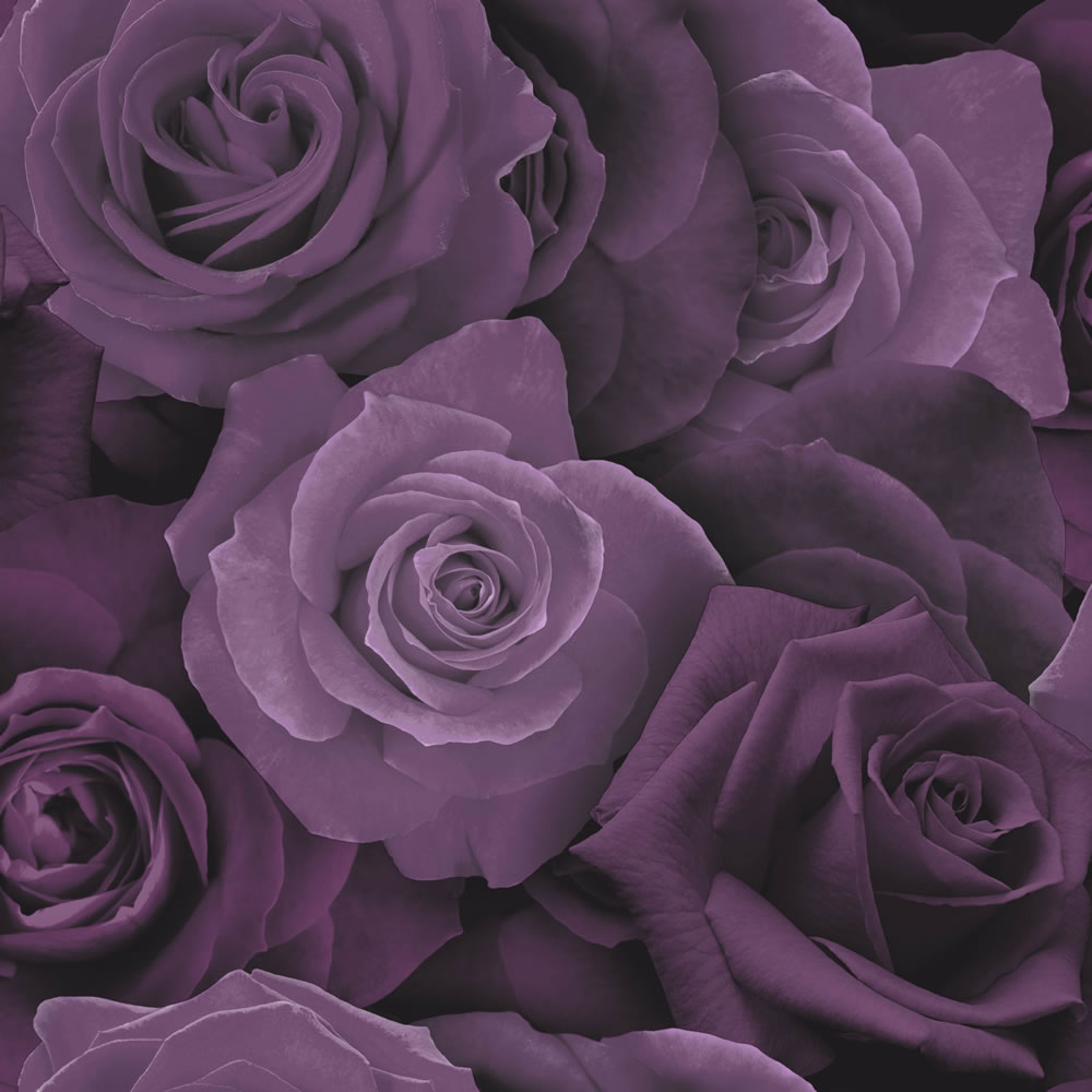 Arthouse Austin Rose Purple Wallpaper Image 1