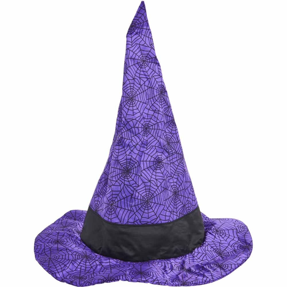 Wilko Animated Witch Hat Image