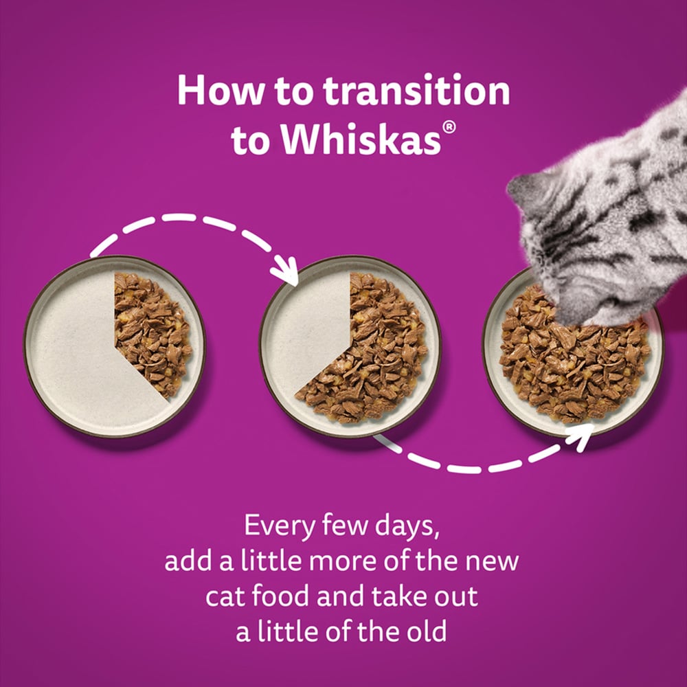 Whiskas Fish Favourites Adult Wet Cat Food Pouches in Jelly 80g 80 Pack Image 3