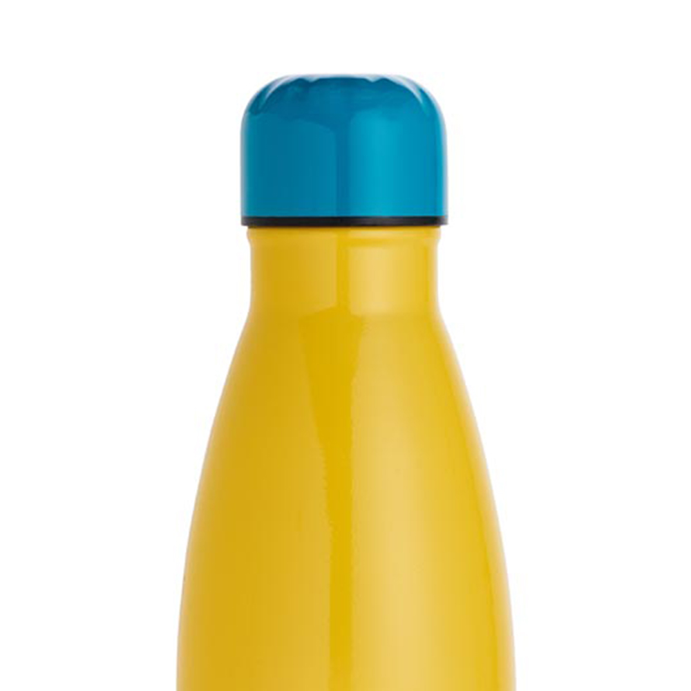 Wilko Dog Double Wall Bottle Wilko