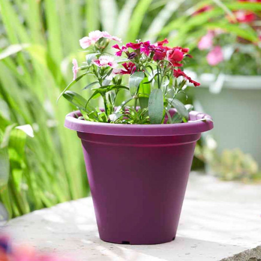 Clever Pots Orchid Plastic Round Plant Pot 19/20cm Image 5