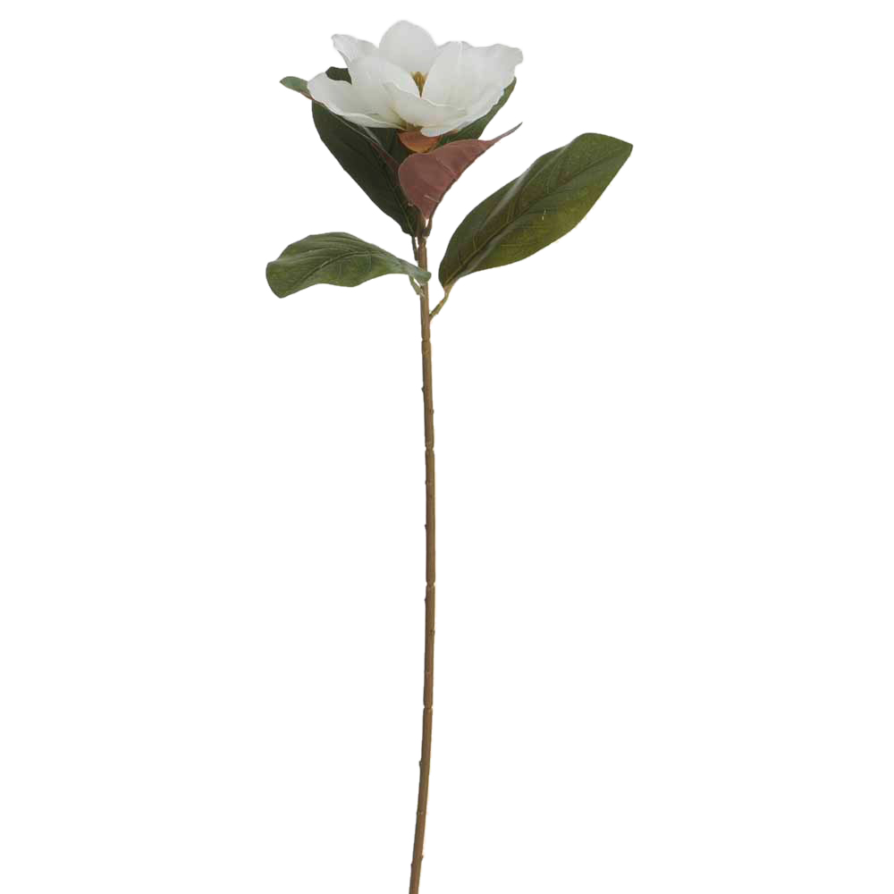 Wilko Magnolia White Single Stem Image 3