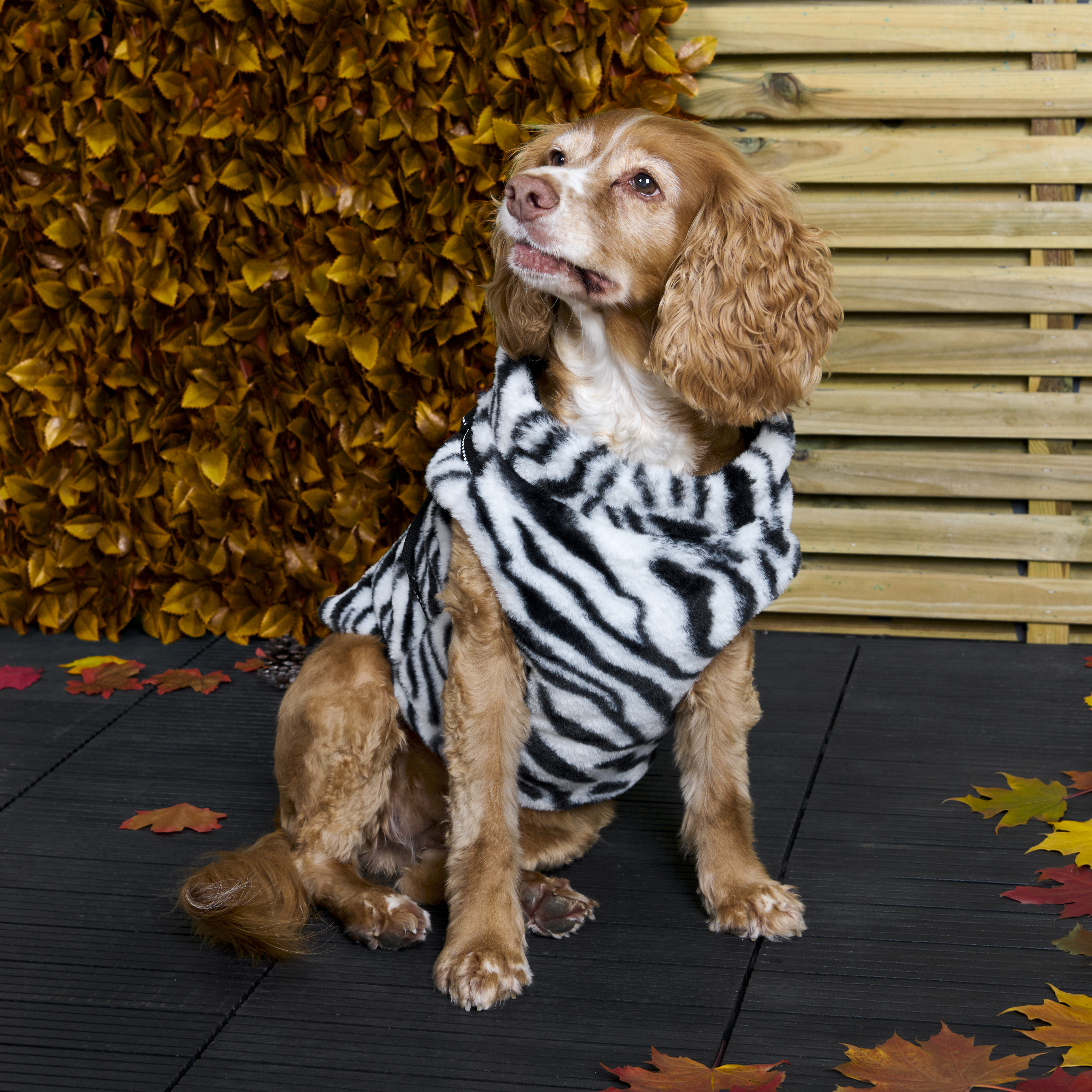 Fluffy Harness Dog Coat XS Image 3