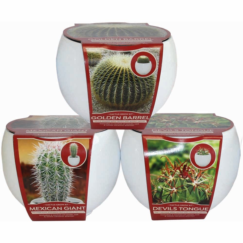 Wilko Mixed Case Cactus Grow Sets Image 3