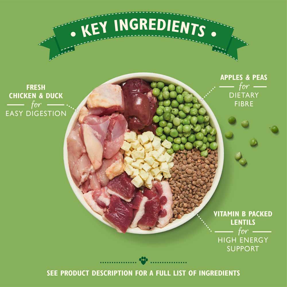 Lily S Kitchen Dog Food Feeding Guide Besto Blog