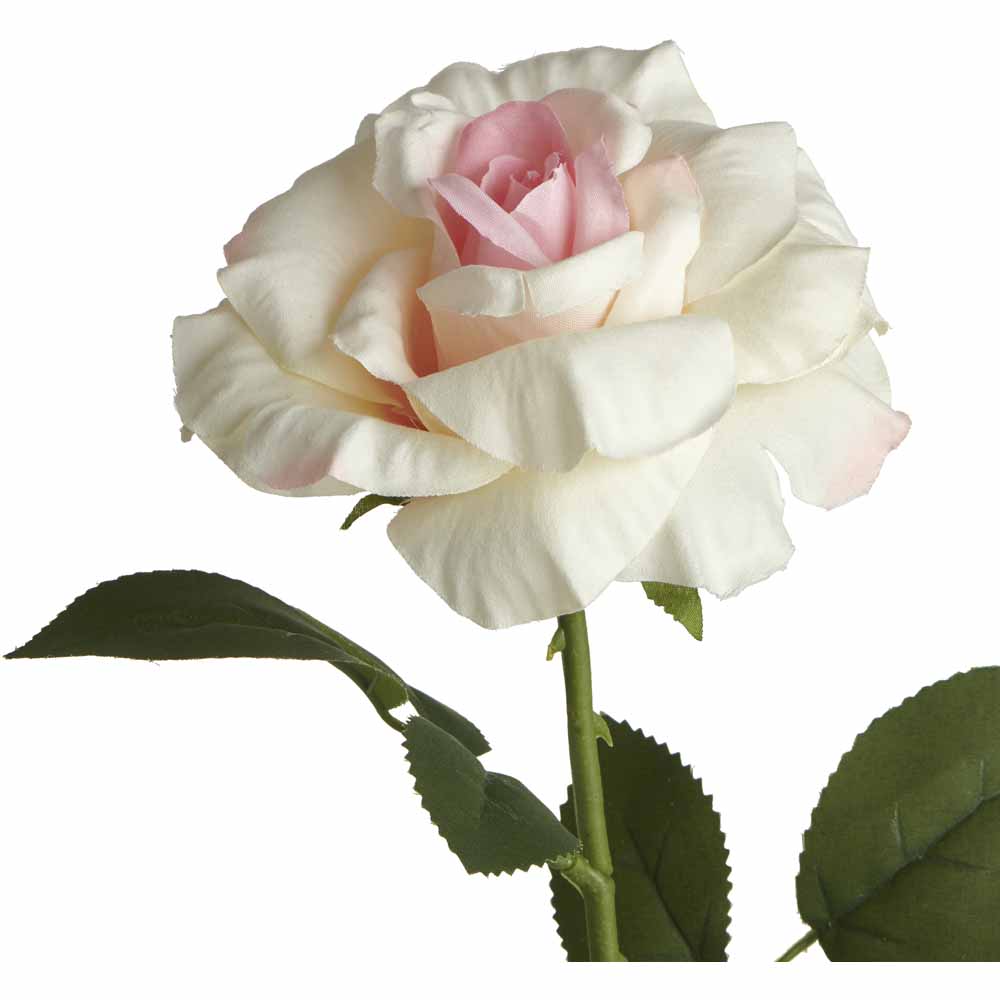 Wilko New Rose Blush Image 2