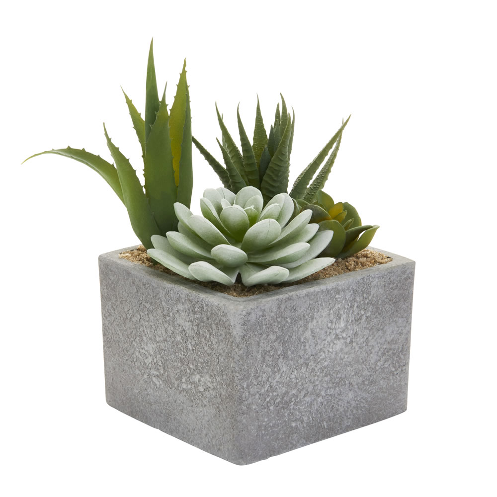Wilko Artificial Succulent in Cement Pot Image