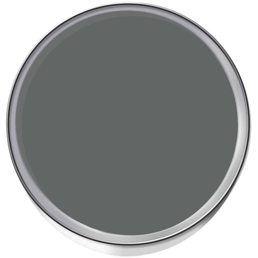 Dulux Heritage Walls and Ceilings Forest Grey Velvet Matt Emulsion Paint 1L Image 3